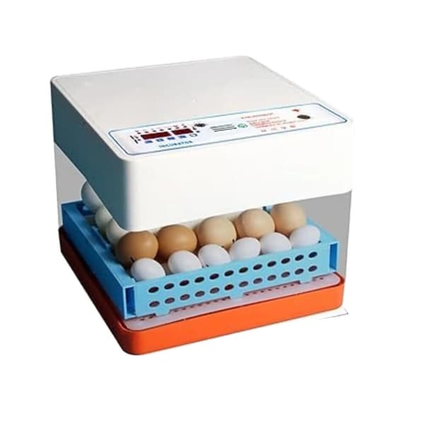 Automatisk inkubator, 16-24 äggkapacitet, LED-display, modern design,Blå