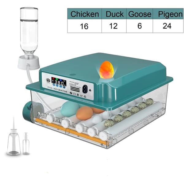 Automatisk ägginkubator, 5 lägen, automatisk vattnare, inbyggd äggljusare,16 Ägg