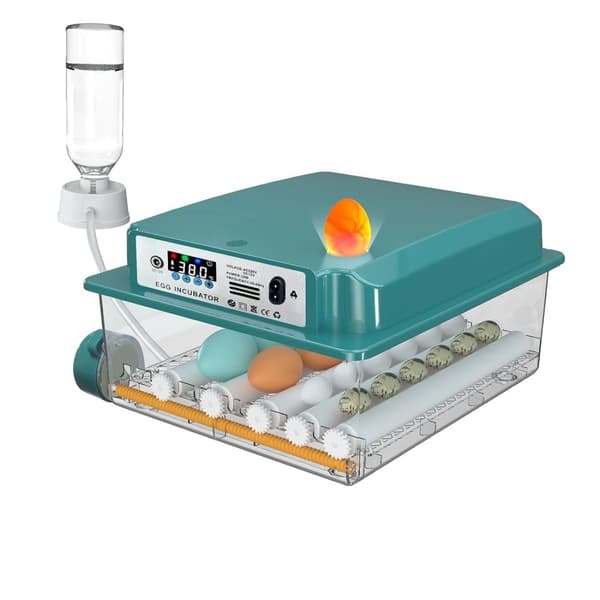 Automatisk ägginkubator, 5 lägen, automatisk vattnare, inbyggd äggljusare,16 Ägg
