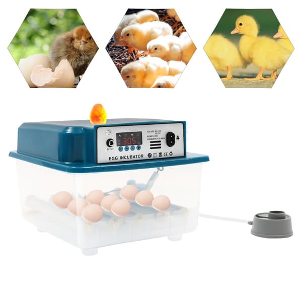 Ägginkubator, 16 ägg kapacitet, automatisk äggvändning
