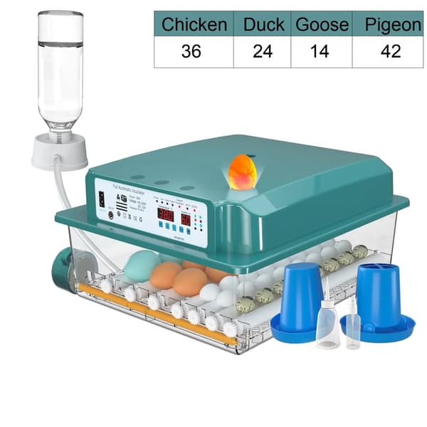 Automatisk ägginkubator, 5 lägen, automatisk vattnare, inbyggd äggljusare,36 Ägg