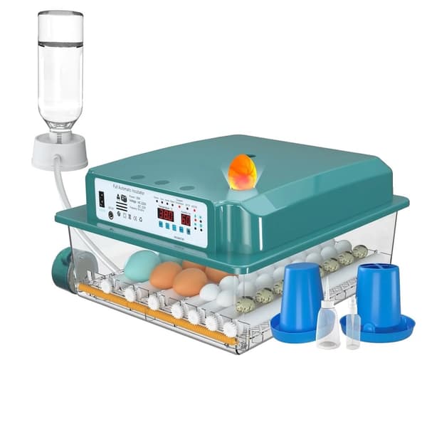 Automatisk ägginkubator, 5 lägen, automatisk vattnare, inbyggd äggljusare,36 Ägg