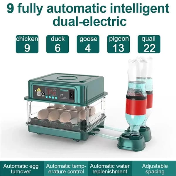 Miniinkubator, Äggkapacitet, AC 12V/220V, 1100 gram Vikt,M, 9 bitar