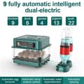 Miniatyrbild 2 av 2: Miniinkubator, Äggkapacitet, AC 12V/220V, 1100 gram Vikt,M, 9 bitar