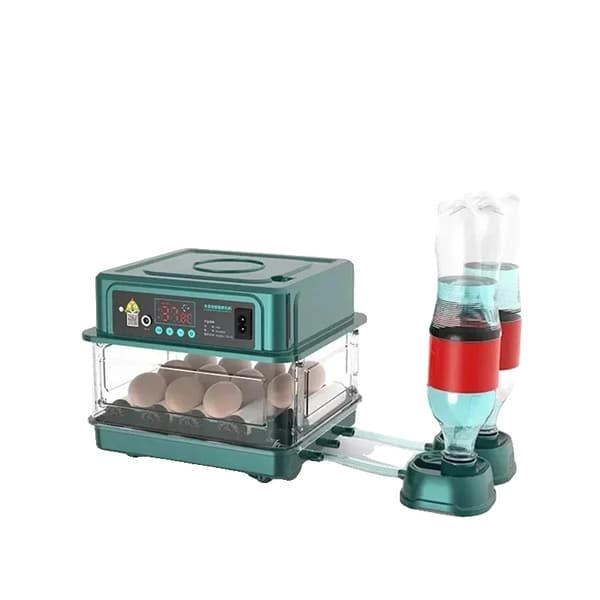 Miniinkubator, Äggkapacitet, AC 12V/220V, 1100 gram Vikt,M, 9 bitar