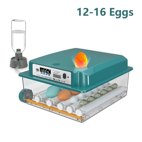 Ägginkubator, Helautomatiskt, Kapacitet 12-16 Ägg, Tillverkad av Plast,FD-1-16