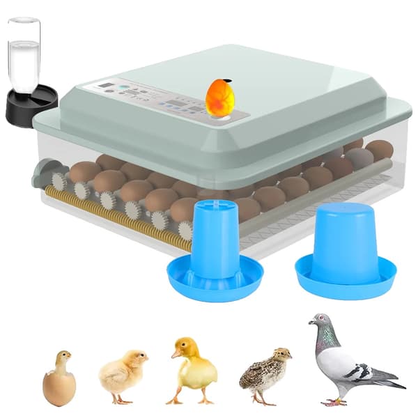 36 Ägg Inkubator, Helt Automatisk Intelligent, Automatisk Äggrotation, 4 Inkubationslägen,VIT