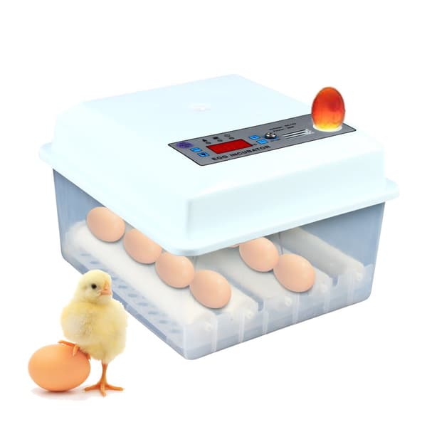 Ägginkubator, Automatisk Äggvändare, 16 Ägg Kapacitet