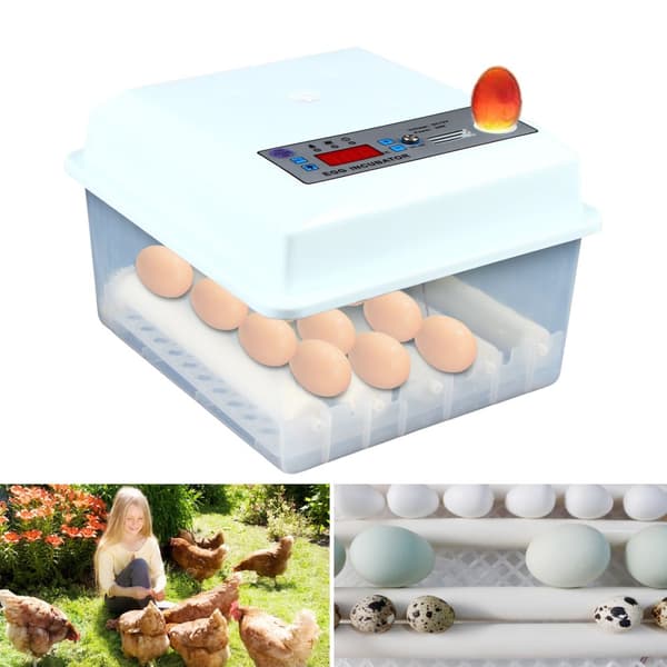 Ägginkubator, Automatisk Äggvändare, 16 Ägg Kapacitet