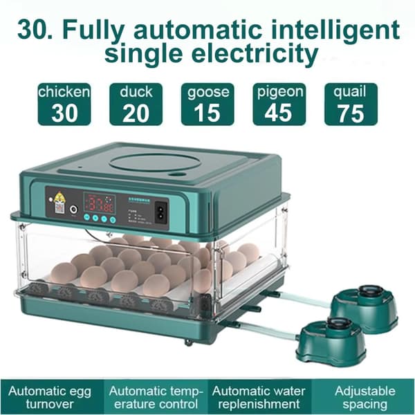 Ägginkubator, Automatisk Äggvändning, Temperaturkontroll, Vattenpåfyllning,30 ägg