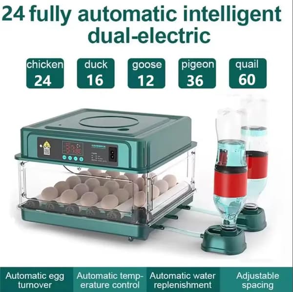 Ägginkubator, Automatisk Temperaturkontroll, Vätskebyte,24 Ägg