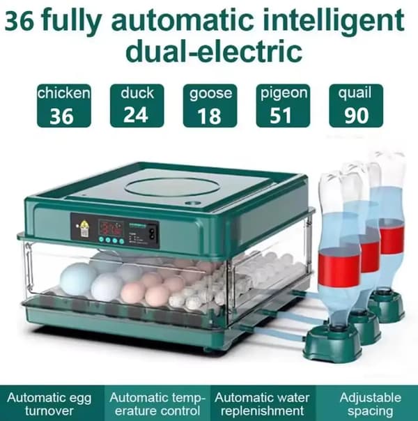 Ägginkubator, Automatisk Temperaturkontroll, Vätskebyte,36 Ägg