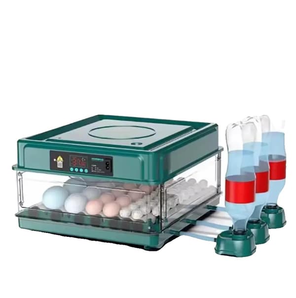 Ägginkubator, Automatisk Temperaturkontroll, Vätskebyte,36 Ägg