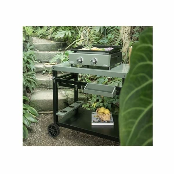 Grillplatta Livoo