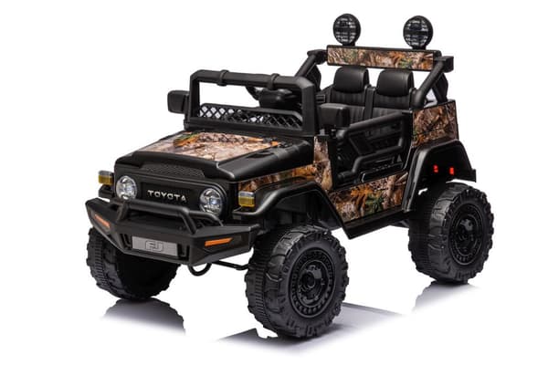 Auto Battery Toyota FJ Black Forest 4x4