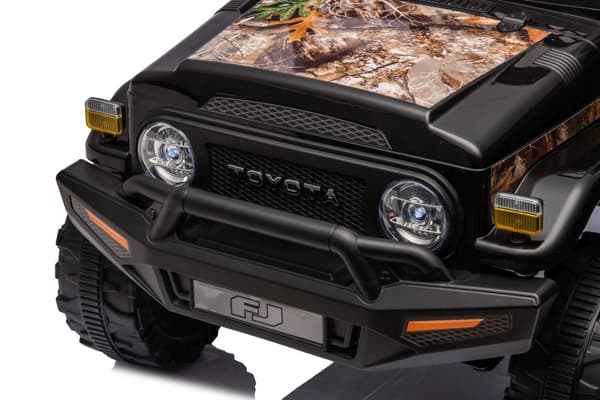 Auto Battery Toyota FJ Black Forest 4x4