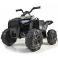 Miniatyrbillede 3 af 3: FEBER - 800012541 - ATV - Boxer 6V