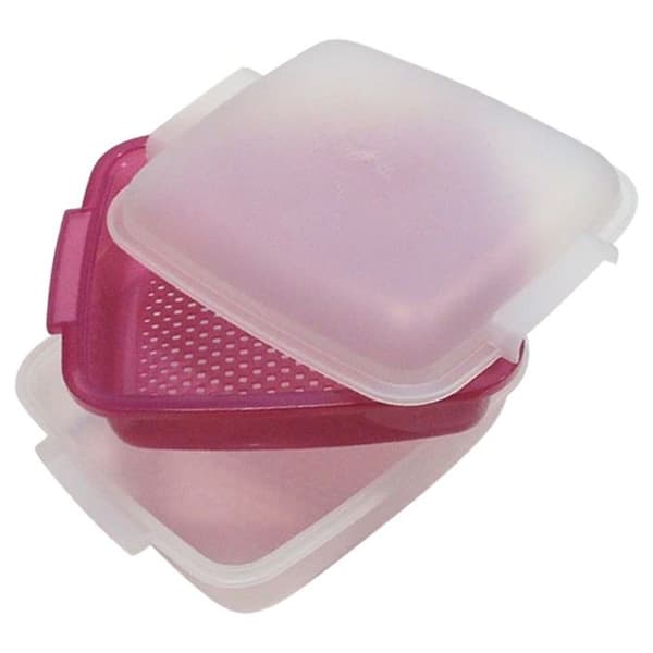 Ångkokare - WHIRLPOOL - Ångskål STM008 - Rosa - 750 Watt - Tål maskindisk