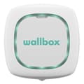 Pikkukuva 8 / 11: Akkulaturi Wallbox Pulsar Plus 7.4W T2