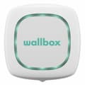Miniatyrbild 3 av 11: Batteriladdare Wallbox Pulsar Plus 7.4W T2