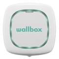 Miniatyrbild 9 av 11: Batteriladdare Wallbox Pulsar Plus 7.4W T2