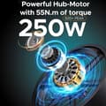 Pikkukuva 4 / 11: ENGINE X Aikuisille Tarkoitettu Sähköpyörä 250 W Sähköpyörä 48V13 Ah Akulla, Maastoon Sopiva Sähköpyörä 20 Tuuman Täysrenkaalla