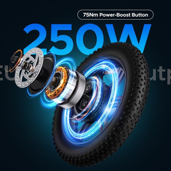 ENGWE L20 BOOST Elcykel För Vuxna 250W Motor Elcykel 48V13AH Batteri Elcykel För Stadspendling 20 Tum Elcykel Med Feta Däck
