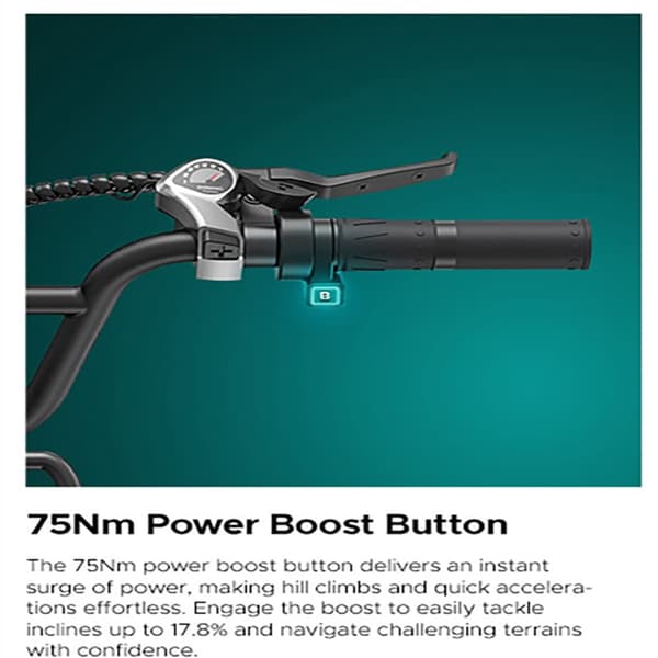 ENGWE L20 BOOST Elcykel För Vuxna 250W Motor Elcykel 48V13AH Batteri Elcykel För Stadspendling 20 Tum Elcykel Med Feta Däck