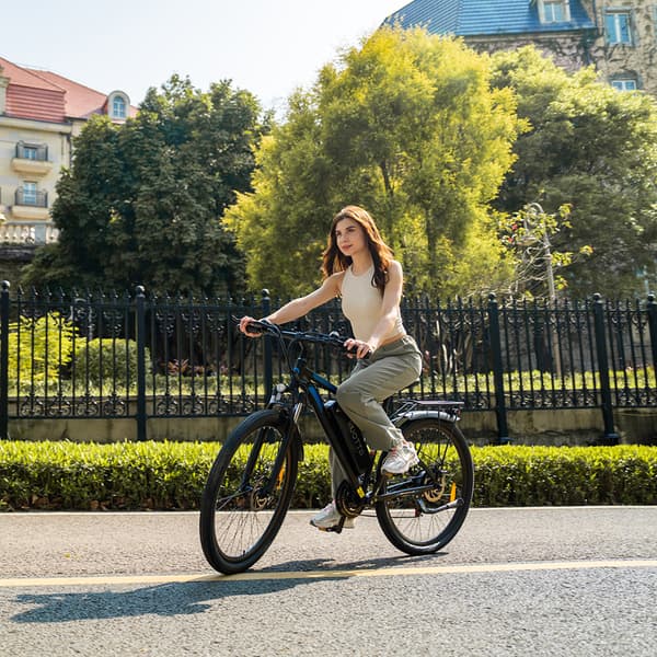 DUOTTS C29 City Ebike 750W Moottorilla Varustettu Aikuisten Sähköpyörä 48V30Ah Akkusähköpyörä 29 Tuuman Renkaalla