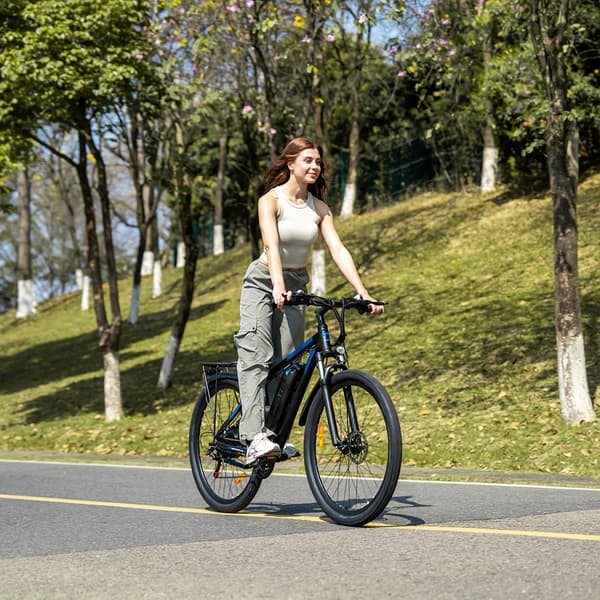 DUOTTS C29 City Ebike 750W Moottorilla Varustettu Aikuisten Sähköpyörä 48V30Ah Akkusähköpyörä 29 Tuuman Renkaalla