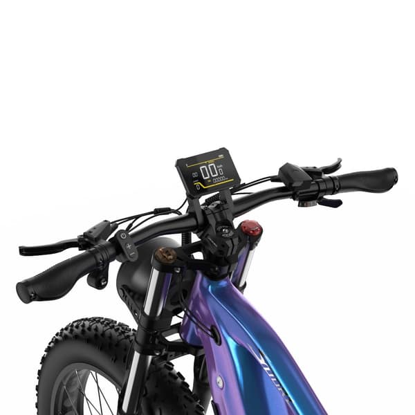 ：DUOTTS E26 Elcykel För Vuxna 750W Motor El-mountainbike 48V20AH Batteri Elcykel 26 Tum Elcykel Med Feta Däck
