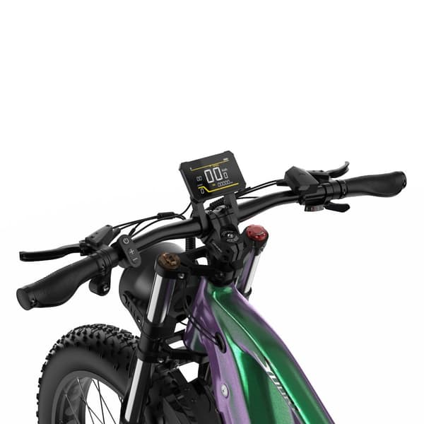 DUOTTS E26 Elcykel För Vuxna 750W Motor Elcykel 48V20AH Batteri El-mountainbike 26 Tum Elcykel Med Feta Däck