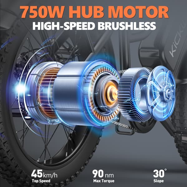 KICKWEY LD20 Elcykel För Vuxna 750W Motor Elcykel 48V20Ah Batteri Stads-Elcykel 20-Tums Terrängdäck Elcykel