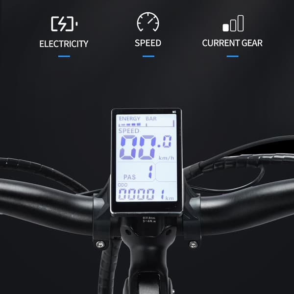 Ridstar H20 Aikuisten Sähköpyörä 1000 W:n Moottoripyörä, Kaupunkisähköpyörä 48 V 14 Ah:n Akulla, Sähköpyörä 20 Tuuman Paksurenkaisella Sähköpyörällä