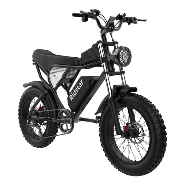 Ridstar Q20 Elcykel För Vuxna 1000W Motor Elcykel 48V20AH Batteri Terrängcykel 20 Tums Elcykel Med Feta Däck