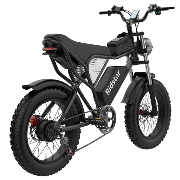 Ridstar Q20 Elcykel För Vuxna 1000W Motor Elcykel 48V20AH Batteri Terrängcykel 20 Tums Elcykel Med Feta Däck