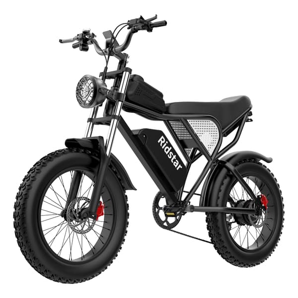 Ridstar Q20 Elcykel För Vuxna 1000W Motor Elcykel 48V20AH Batteri Terrängcykel 20 Tums Elcykel Med Feta Däck