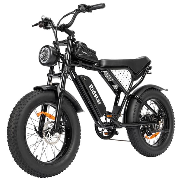 Ridstar Q20 Mini Elcykel för Vuxna 500W Motor Elcykel 48V15AH Batteri El-Mountainbike 20 Tums Feta Däck All Terrain Elcykel