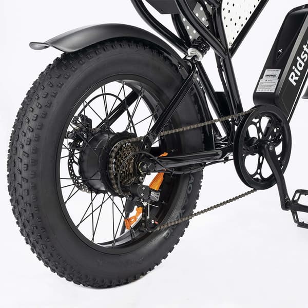 Ridstar Q20 Mini Elcykel för Vuxna 500W Motor Elcykel 48V15AH Batteri El-Mountainbike 20 Tums Feta Däck All Terrain Elcykel