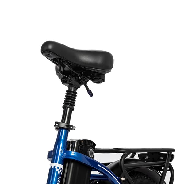 Ridstar MN-20 Elcykel För Vuxna 1000W Motor 48V15AH Batteri Elcykel För Kvinnor 20 Tum Elcykel För Stadscyklar Med Feta Däck