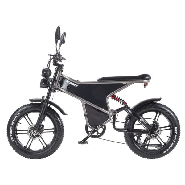 Randride DM711 Aikuisten Vuoren Sähköpyörä 2 * 1000W Moottori Ebike 48V20Ah Akku Miesten Sähköpyörä 20 Tuuman Renkaat Kaikki Maasto Sähköpyörä
