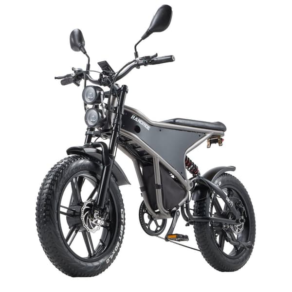 Randride DM711 Aikuisten Vuoren Sähköpyörä 2 * 1000W Moottori Ebike 48V20Ah Akku Miesten Sähköpyörä 20 Tuuman Renkaat Kaikki Maasto Sähköpyörä