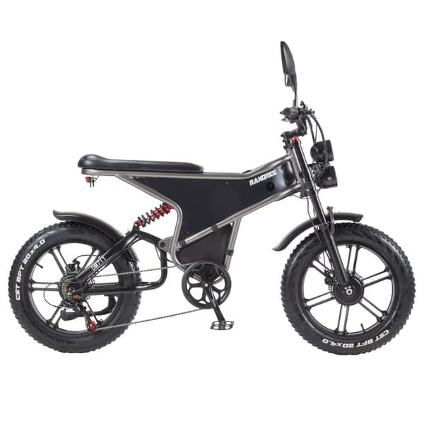 Randride DM711 Aikuisten Vuoren Sähköpyörä 2 * 1000W Moottori Ebike 48V20Ah Akku Miesten Sähköpyörä 20 Tuuman Renkaat Kaikki Maasto Sähköpyörä