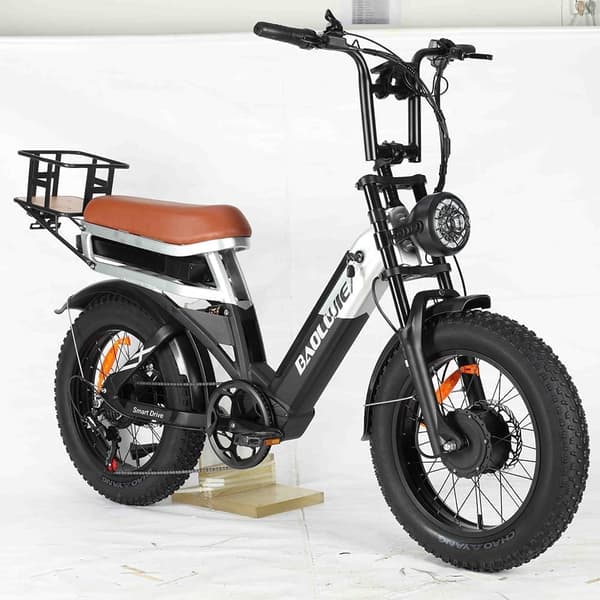 BAOLUJIE DP2033 Sähköpyörä 48V 30AH akku 1000W * 2 kaksoismoottoria 20 Tuuman Renkaat 90-100KM Enimmäismilometri 120KG Enimmäiskormitus Sähköpyörä - M