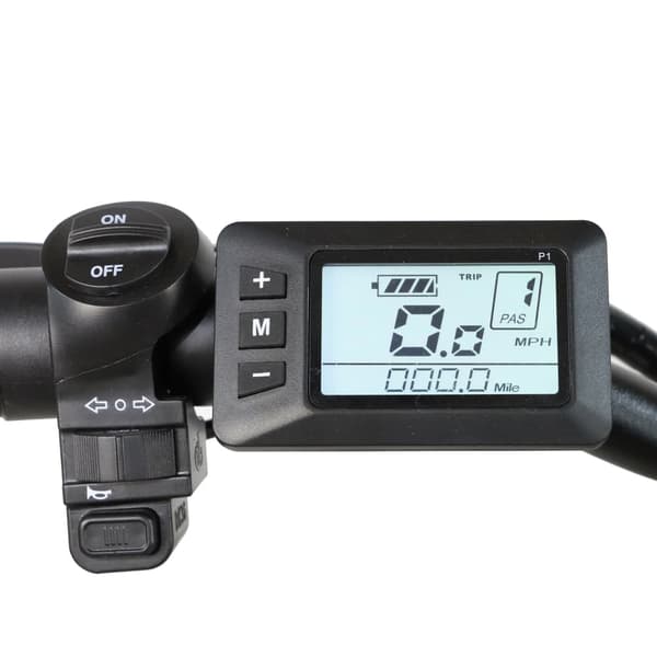 BaoLujie DZ2030 Elcykel 500W, 48V 13Ah Batteri, 20x4,0 Tums Däck, Vikbar, 40 km/t, Vit Elcykel