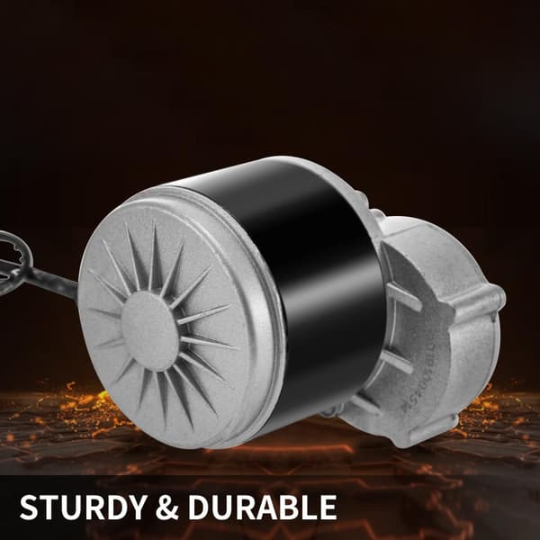 24V 350W 3000RPM borstad DC-motor, dubbelriktad rotationsdesign, hög effektivitet, robust och hållbar, bred applikation
