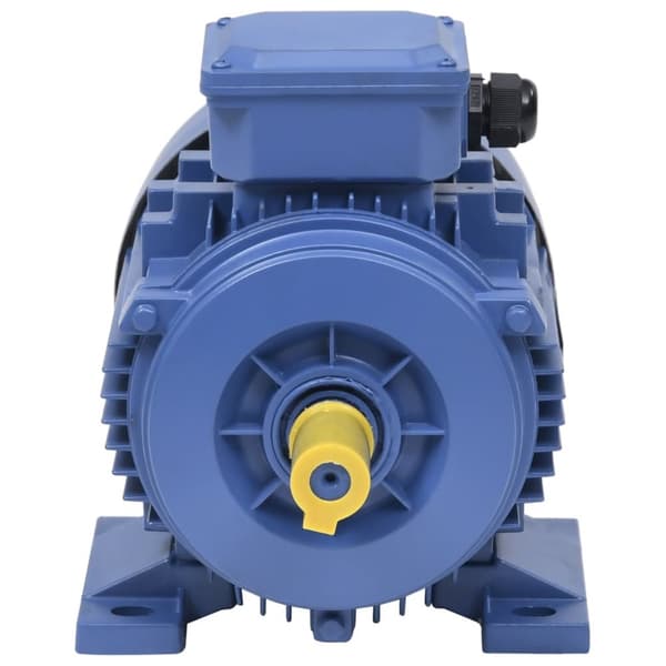 The Living Store 3-fas elektrisk motor aluminium 2,2kW/3HP 2-polig 2840 RPM - Elmotorer