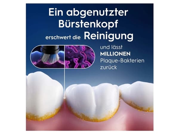 Oral-B 194631, 4 stk, Sort, 3 måned(er), Oral-B