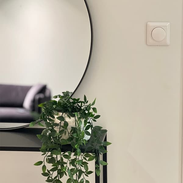Namron LED Dimmer 250W 1-pol hvit