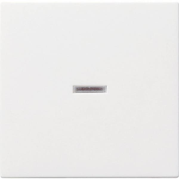 GIRA Vippa/centrumplatta Kontrollomkopplare System 55, Standard 55, E2, Event, Event Clear, Event opak, Esprit, ClassiX